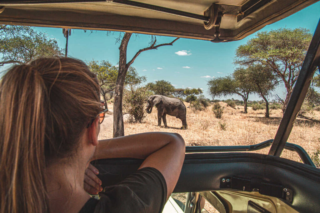 9 Days Tanzania Wildebeest Migration Safari