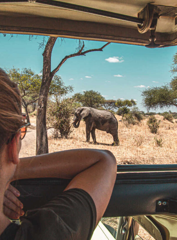 9 Days Tanzania Wildebeest Migration Safari