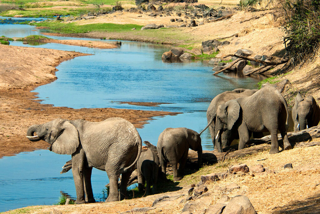 ruaha National Park