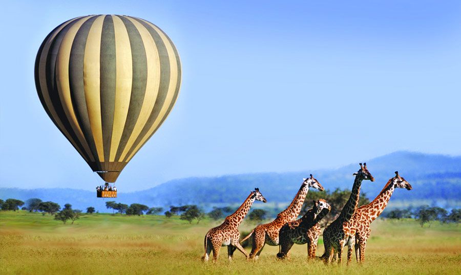 Manyara National-Park