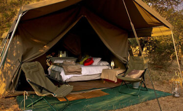 4 days Camping in Tanzania Safari