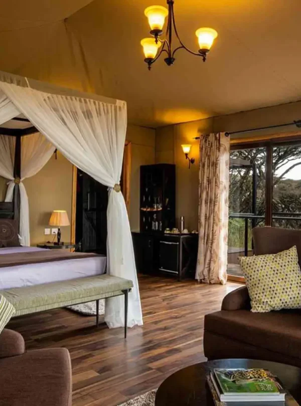 7 days tanzania luxury safari