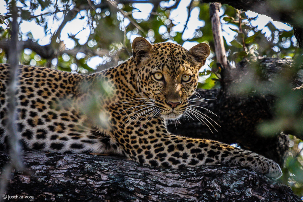 udzungwa National Park