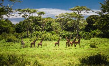 Lake Manyara National Park