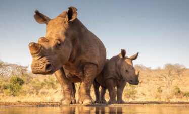 MKOMAZI-NATIONAL-PARK