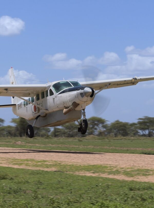 Tanzania Safari