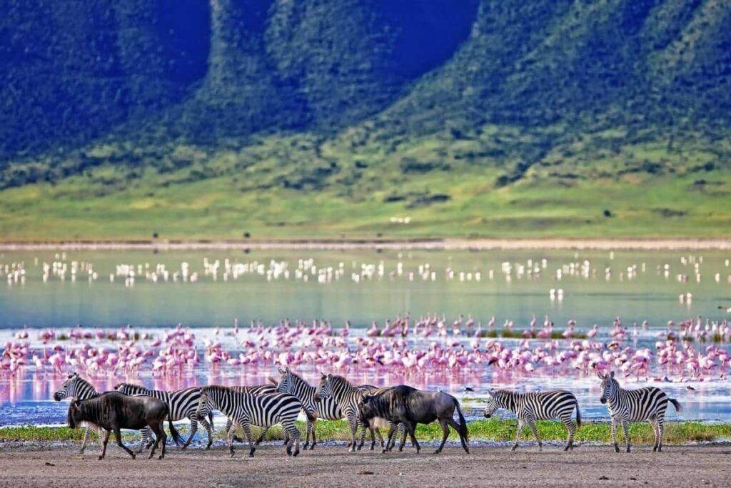 10 Days Tanzania Luxury Honeymoon Safari