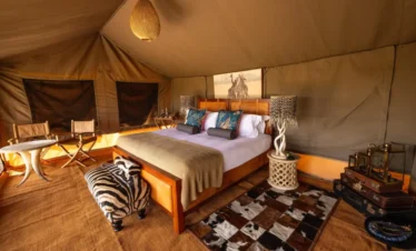Tanzania Luxury Safari