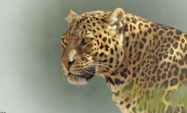 Serengeti National Park