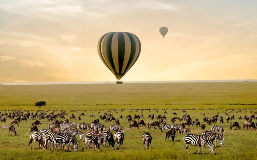 10 Days Tanzania Luxury Honeymoon Safari