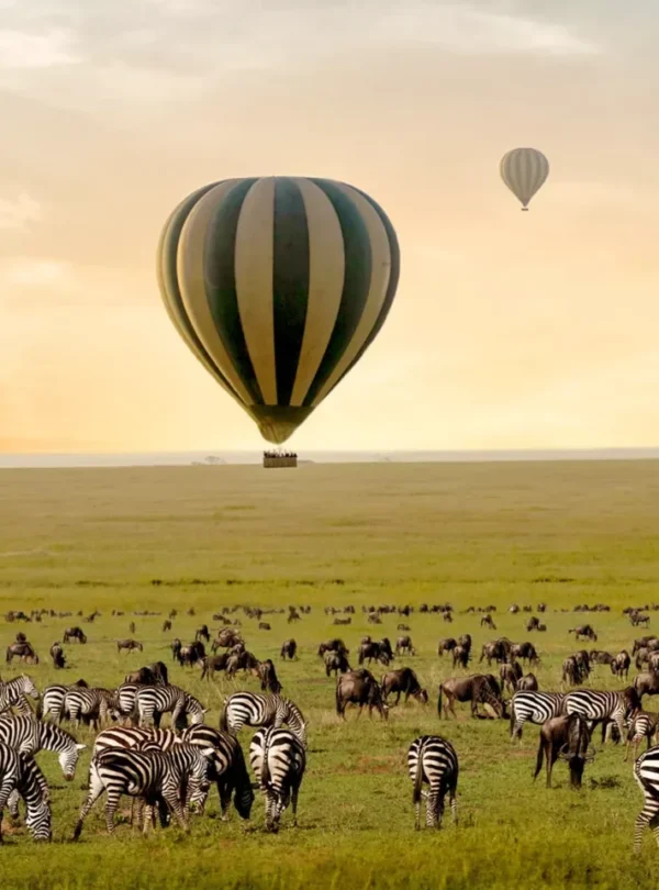 10 Days Tanzania Luxury Honeymoon Safari