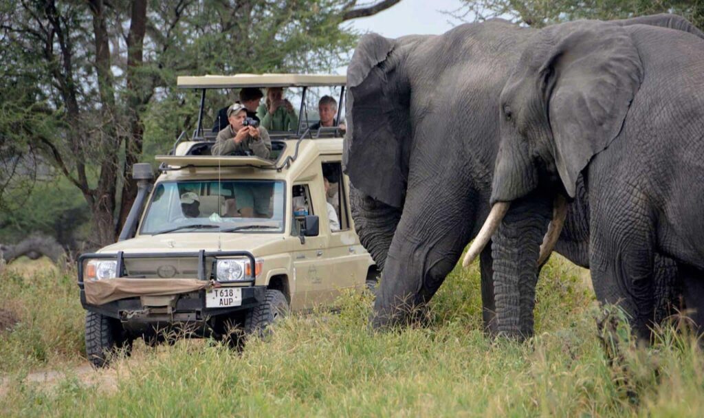 8 Day Tanzania Luxury Safari