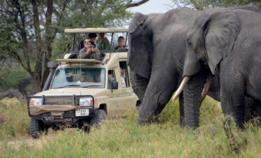 Private Africa Safari Trips Travel Tours Packages