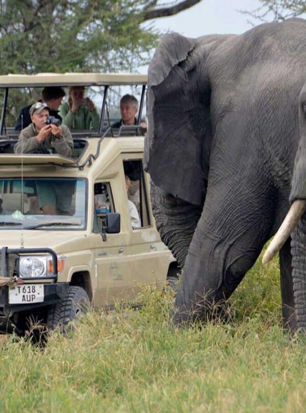 8 Day Tanzania Luxury Safari