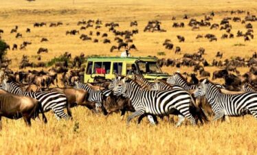 Best Time To Visit Tanzania