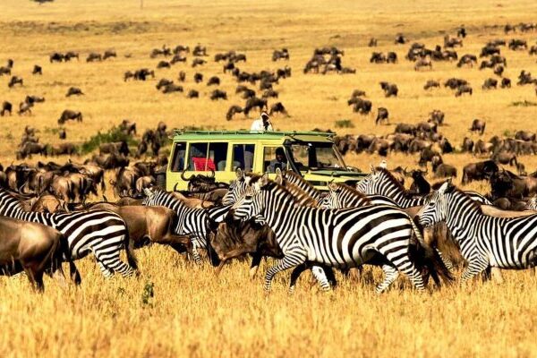 The Best Time to Visit Tanzania