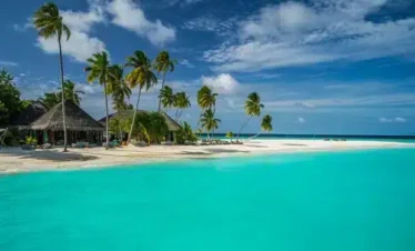 Travel with Confidence