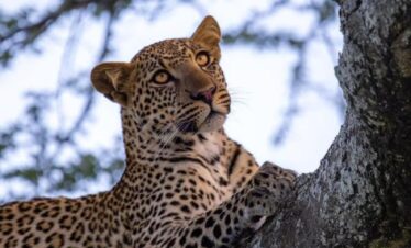 Serengeti National Park