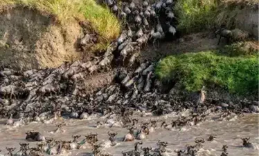 vacation To Tanzania