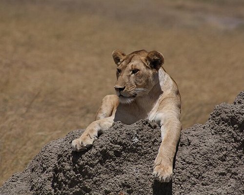 Serengeti National Park