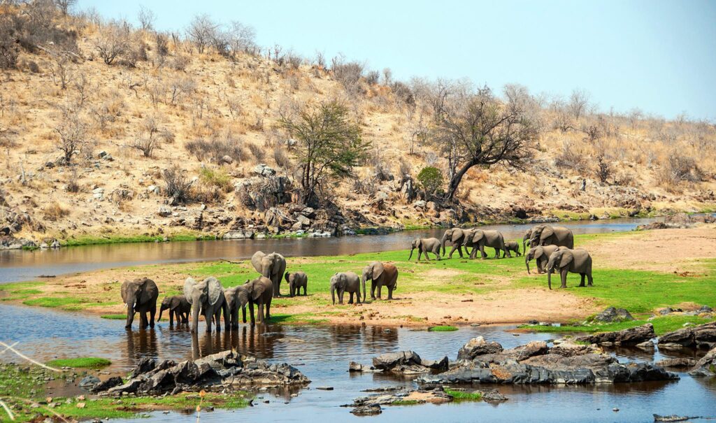ruaha National Park