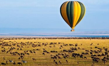 mara-ballooning-hot-air-ballooning-safari