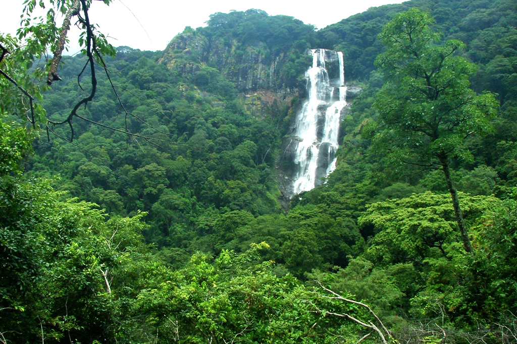 udzungwa National Park