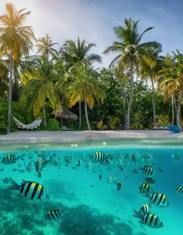 10 Days Tanzania Luxury Honeymoon Safari