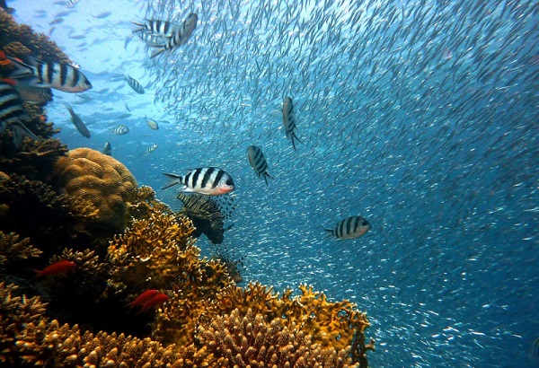 zanzibar