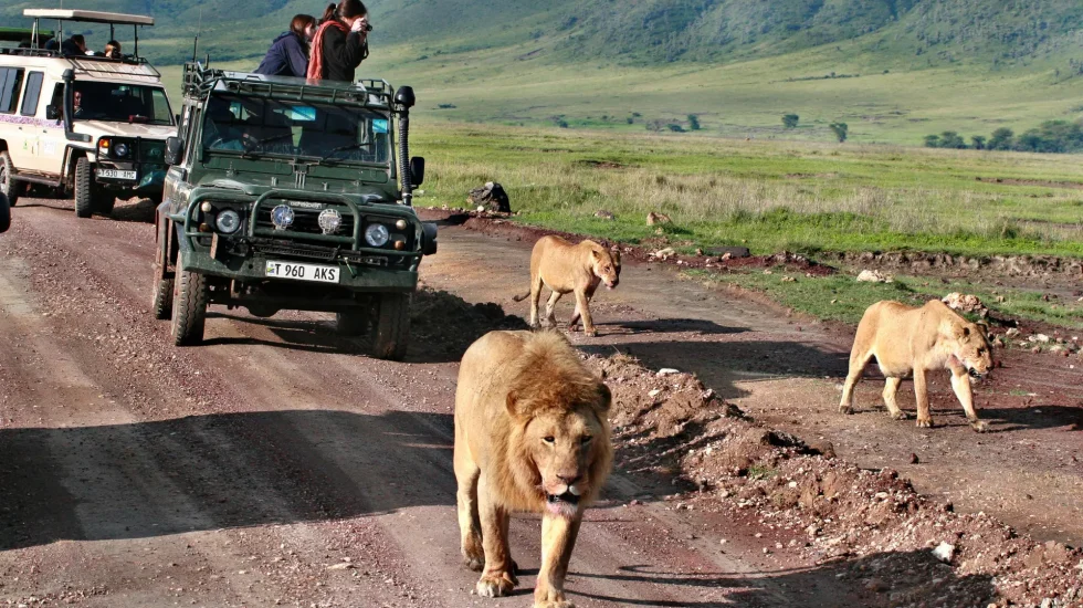 10 Days Tanzania Luxury