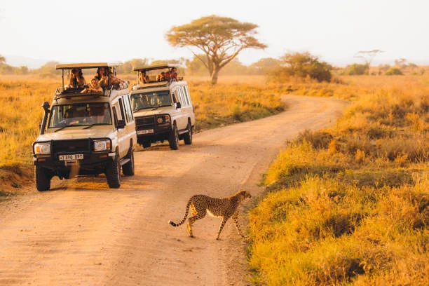 10 Days Tanzania Luxury