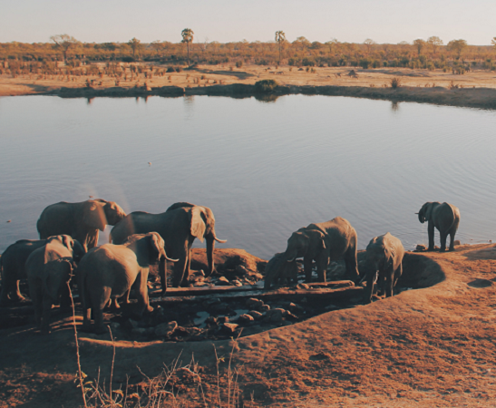 10 Days Tanzania Luxury Honeymoon Safari