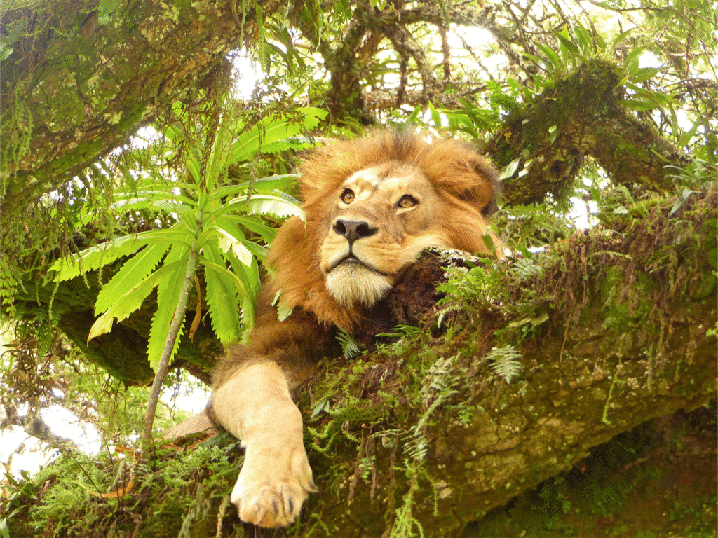 Last-Minute Travel Trip to Tanzania