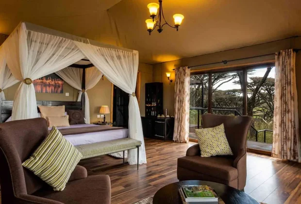 Tanzania Luxury Safari