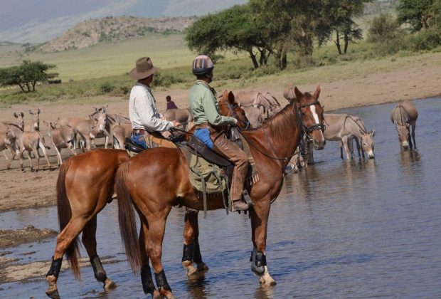 Horseback Ride at Dolly Estate