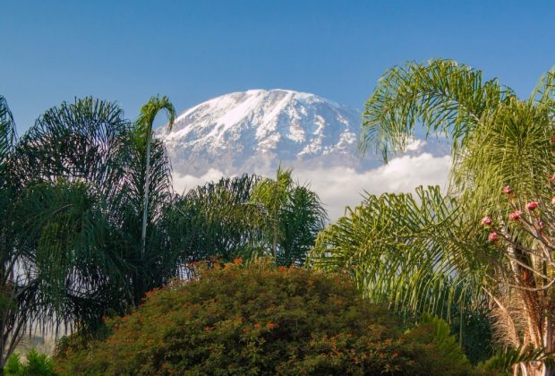 Kilimanjaro-National-Park