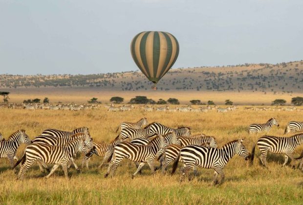 Hot Air Balloon Safaris
