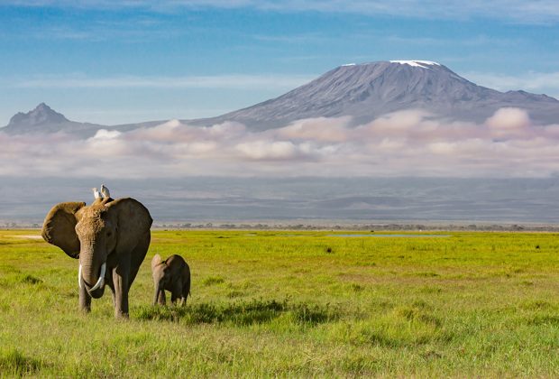 Kilimanjaro-National-Park