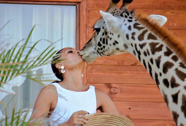 Serval Wildlife Sanctuary