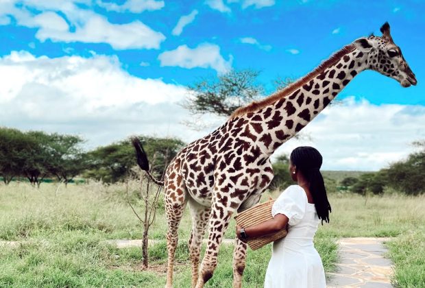 Serval Wildlife Sanctuary