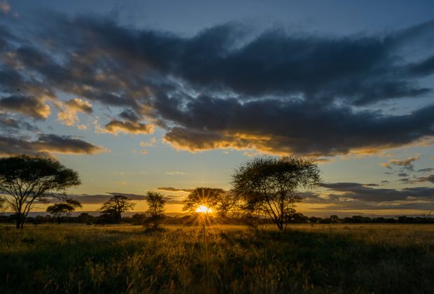 Where Is Serengeti Located